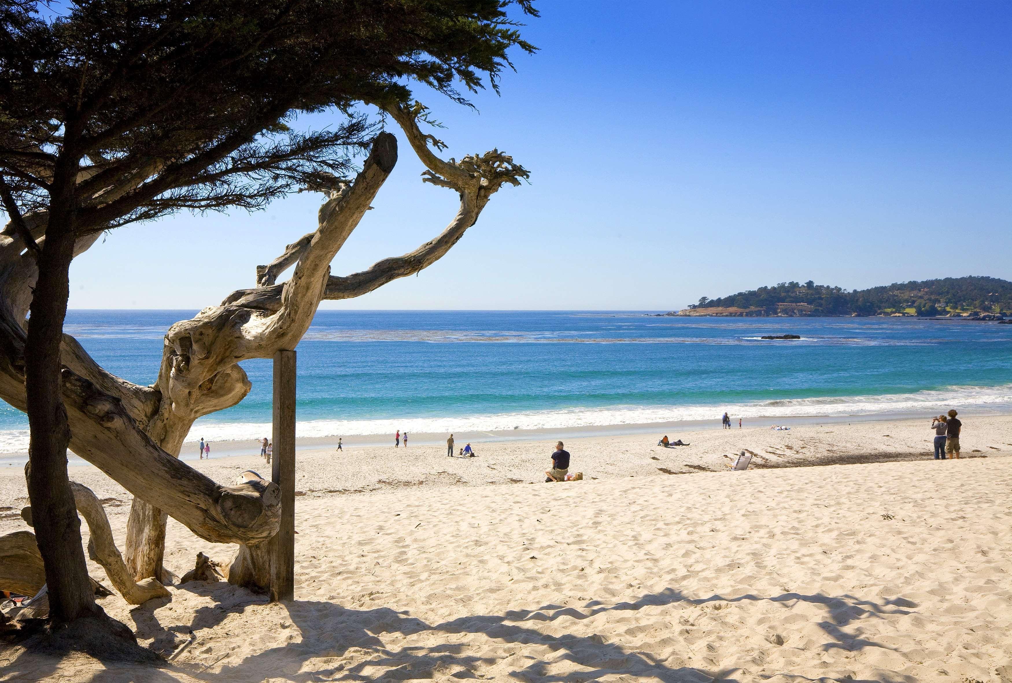 ホテル ハイアット カーメル ハイランズ Carmel Highlands 設備 写真